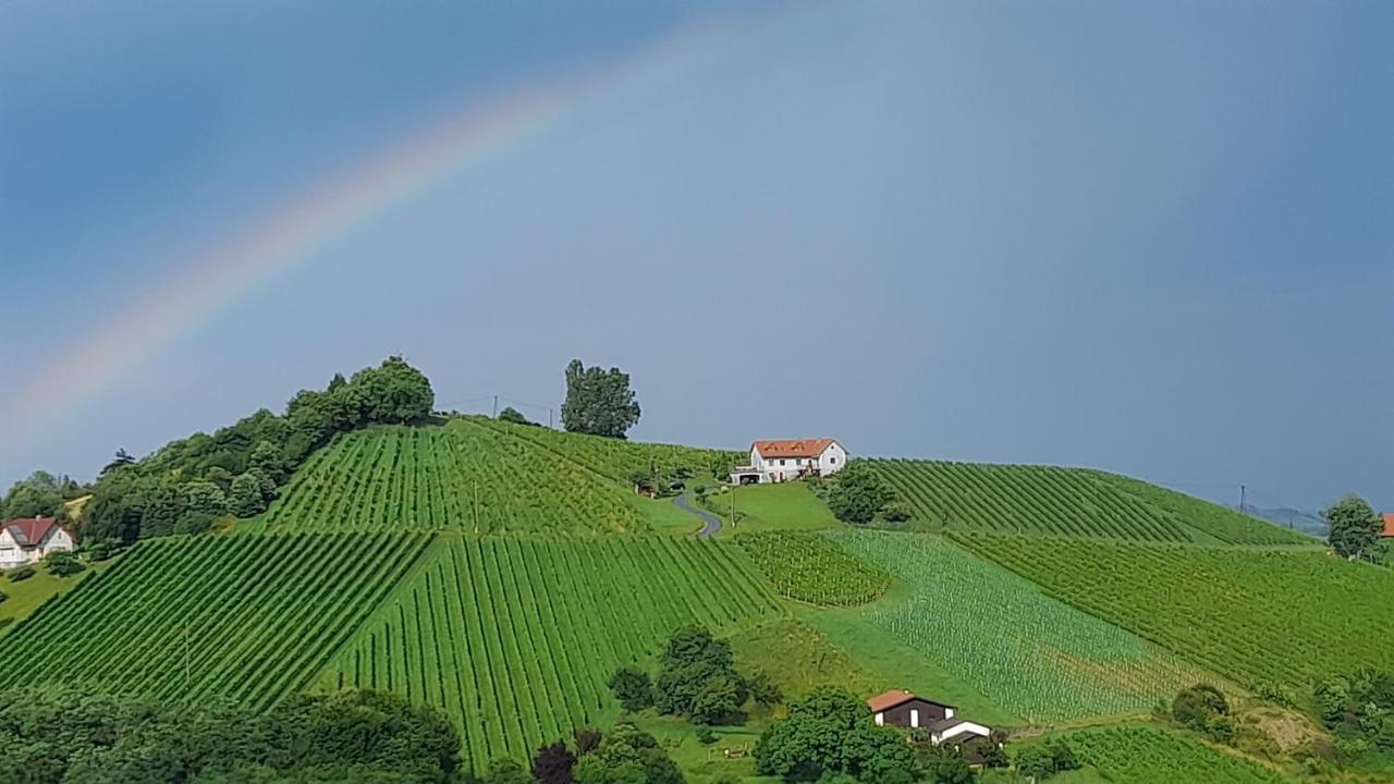 Glanz Und Gloria Weingartenapartment An Der Kellerstrasse, Viele Buschenschaenke, Sehr Ruhige Lage, Herrliche Aussicht! *
