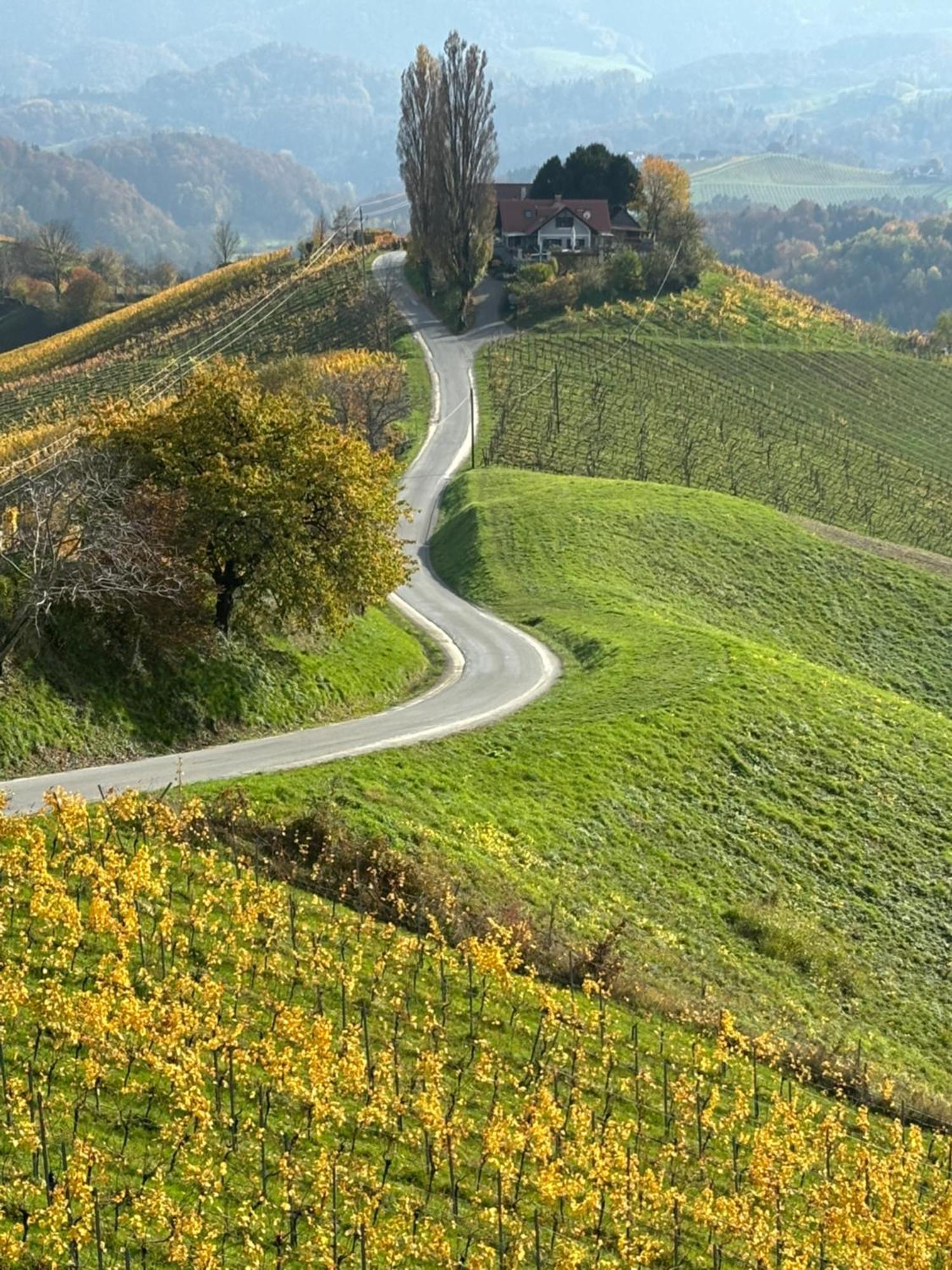 Glanz Und Gloria Weingartenapartment An Der Kellerstrasse, Viele Buschenschaenke, Sehr Ruhige Lage, Herrliche Aussicht! *