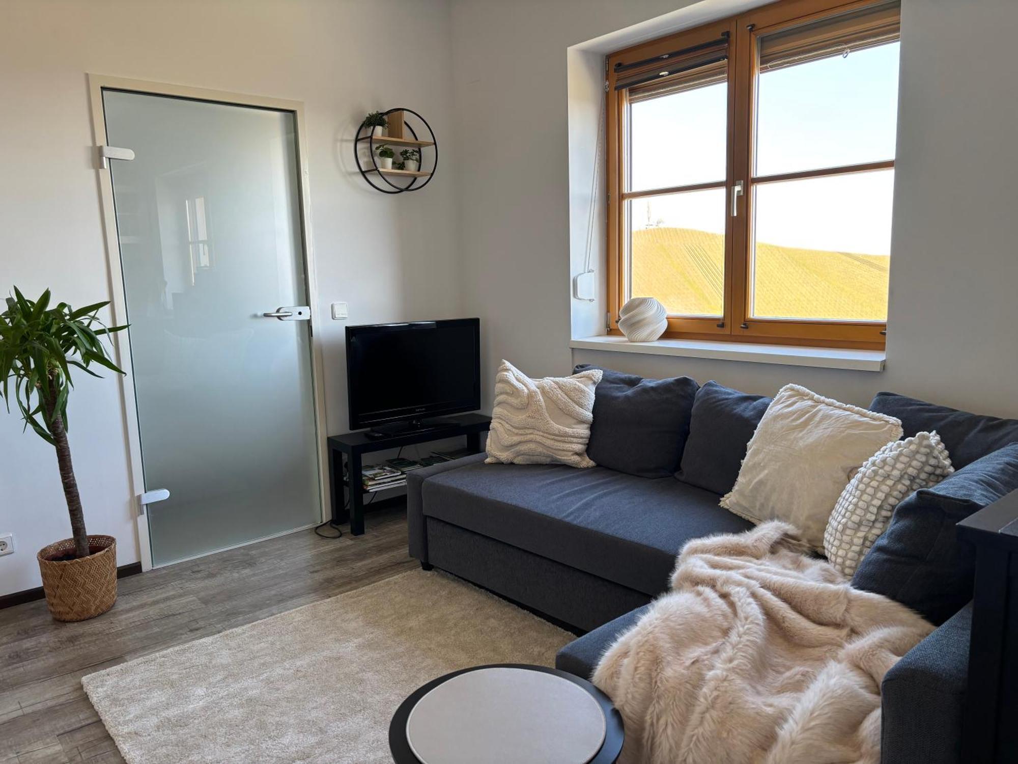 Glanz Und Gloria Weingartenapartment An Der Kellerstrasse, Viele Buschenschaenke, Sehr Ruhige Lage, Herrliche Aussicht! * Leutschach