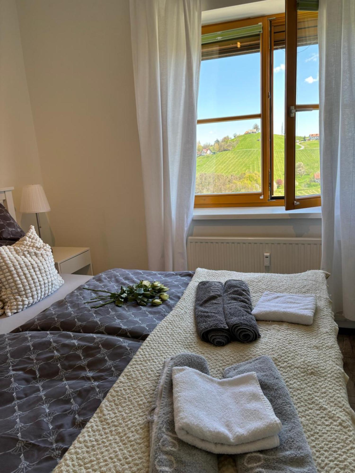 Appartement Glanz Und Gloria Weingartenapartment An Der Kellerstrasse, Viele Buschenschaenke, Sehr Ruhige Lage, Herrliche Aussicht! Leutschach