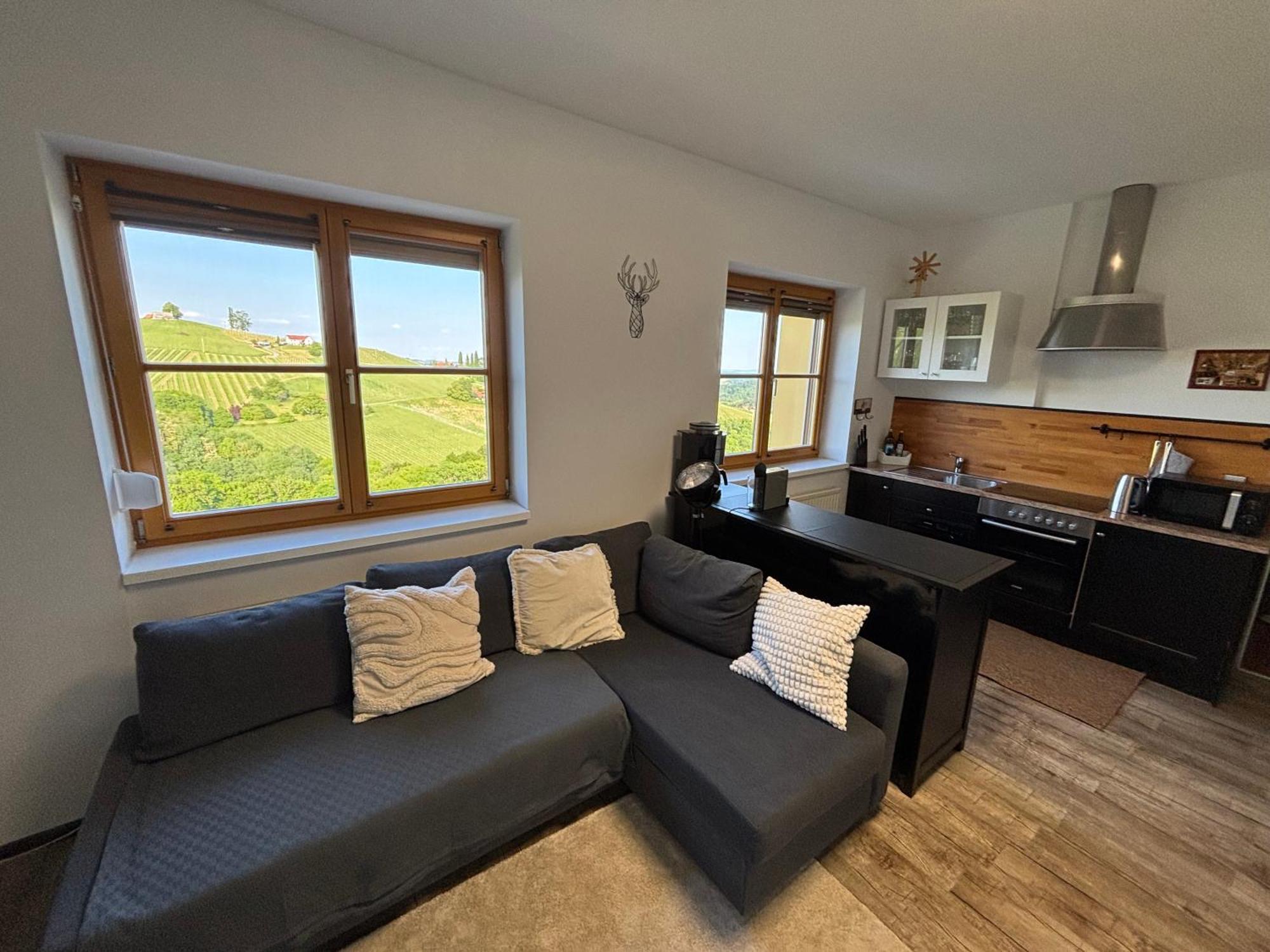 Glanz Und Gloria Weingartenapartment An Der Kellerstrasse, Viele Buschenschaenke, Sehr Ruhige Lage, Herrliche Aussicht! Appartement Leutschach