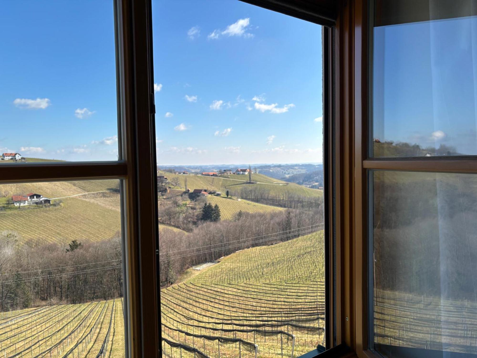 Glanz Und Gloria Weingartenapartment An Der Kellerstrasse, Viele Buschenschaenke, Sehr Ruhige Lage, Herrliche Aussicht! Appartement Leutschach